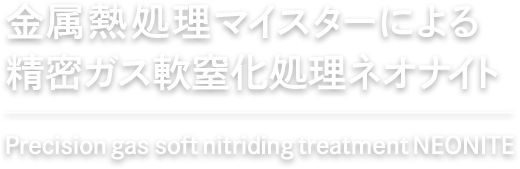 金属熱処理マイスターによる精密ガス軟窒化処理ネオナイト Precision gas soft nitriding treatment NEONITE